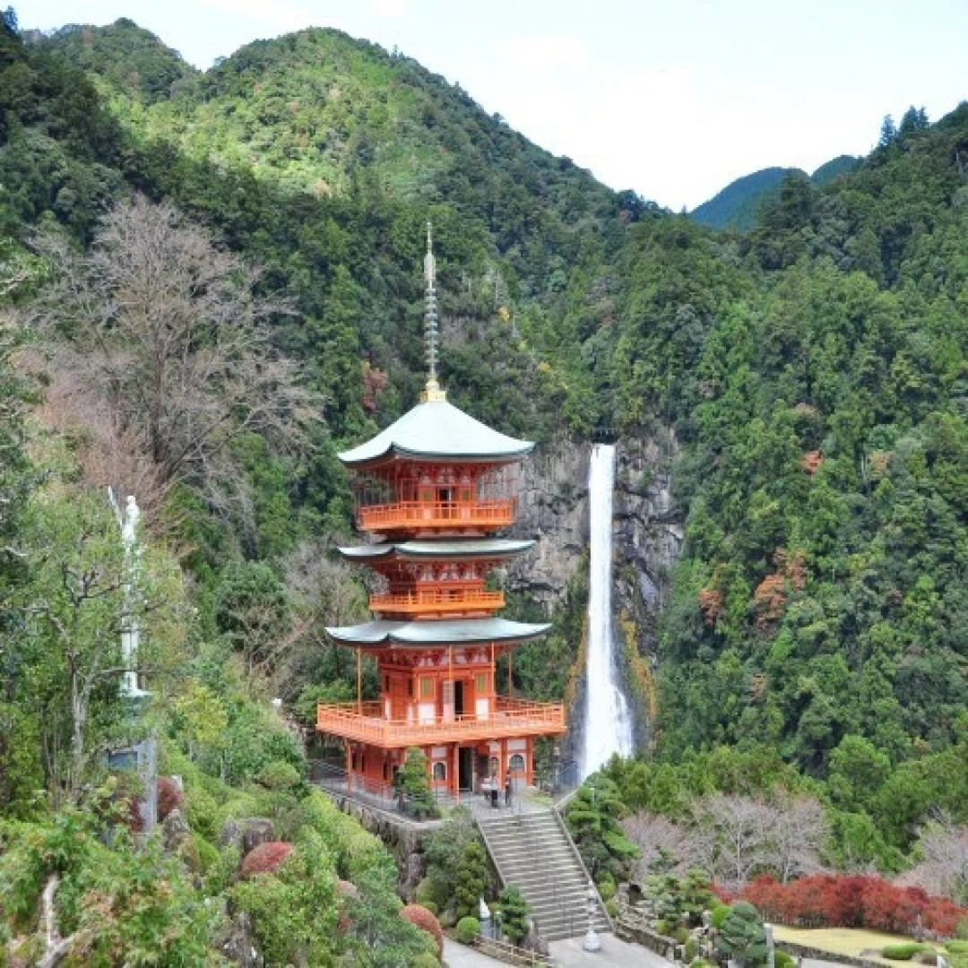 Hiizurukurenainoyado Katsuurakankohotel