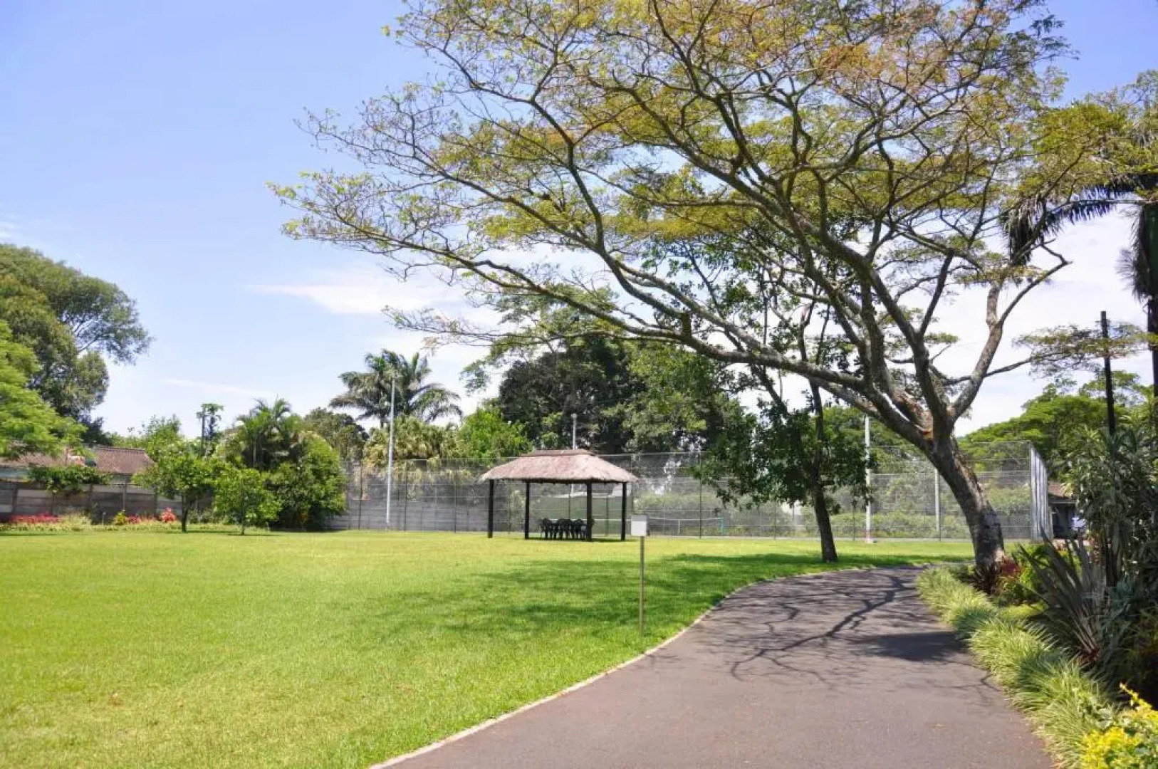 Birds of paradise B&B