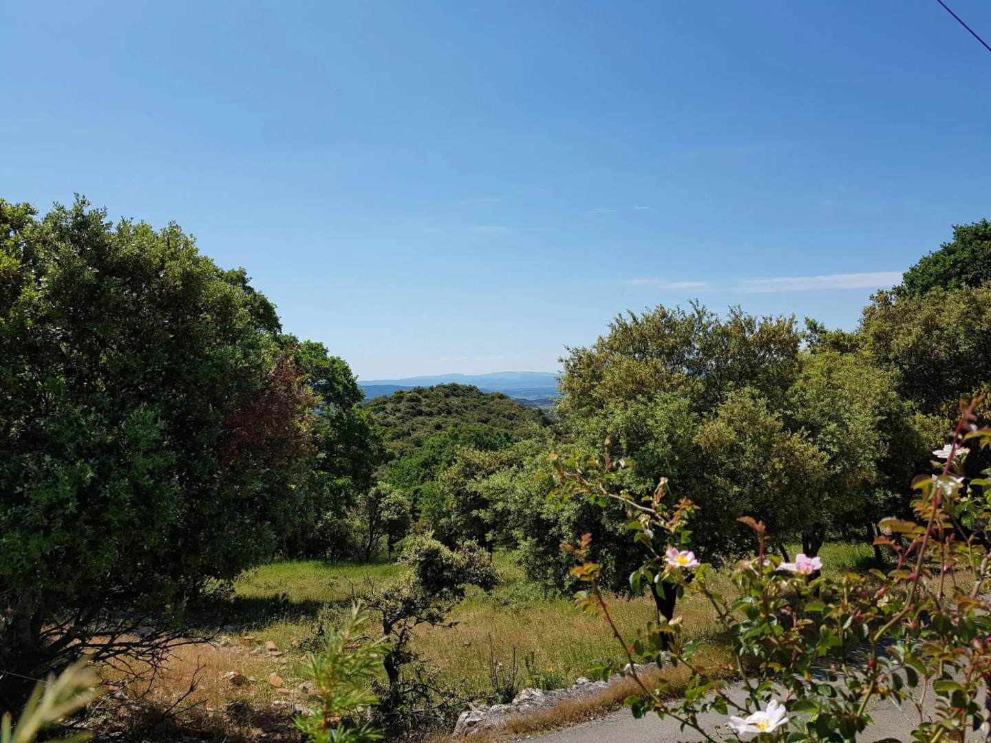 Lush villa in Vélieux with private heated swimming pool