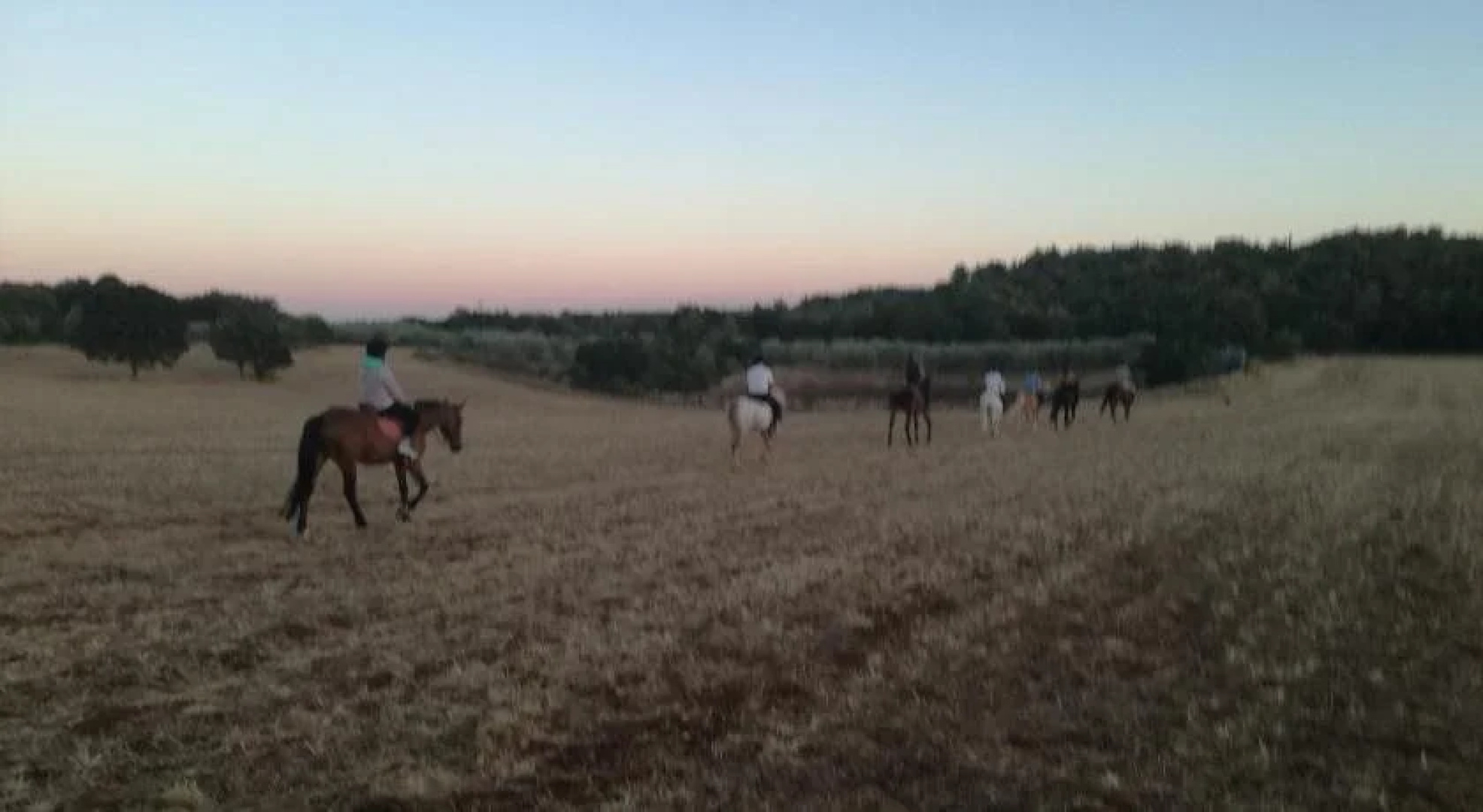 Agriturismo Fasano