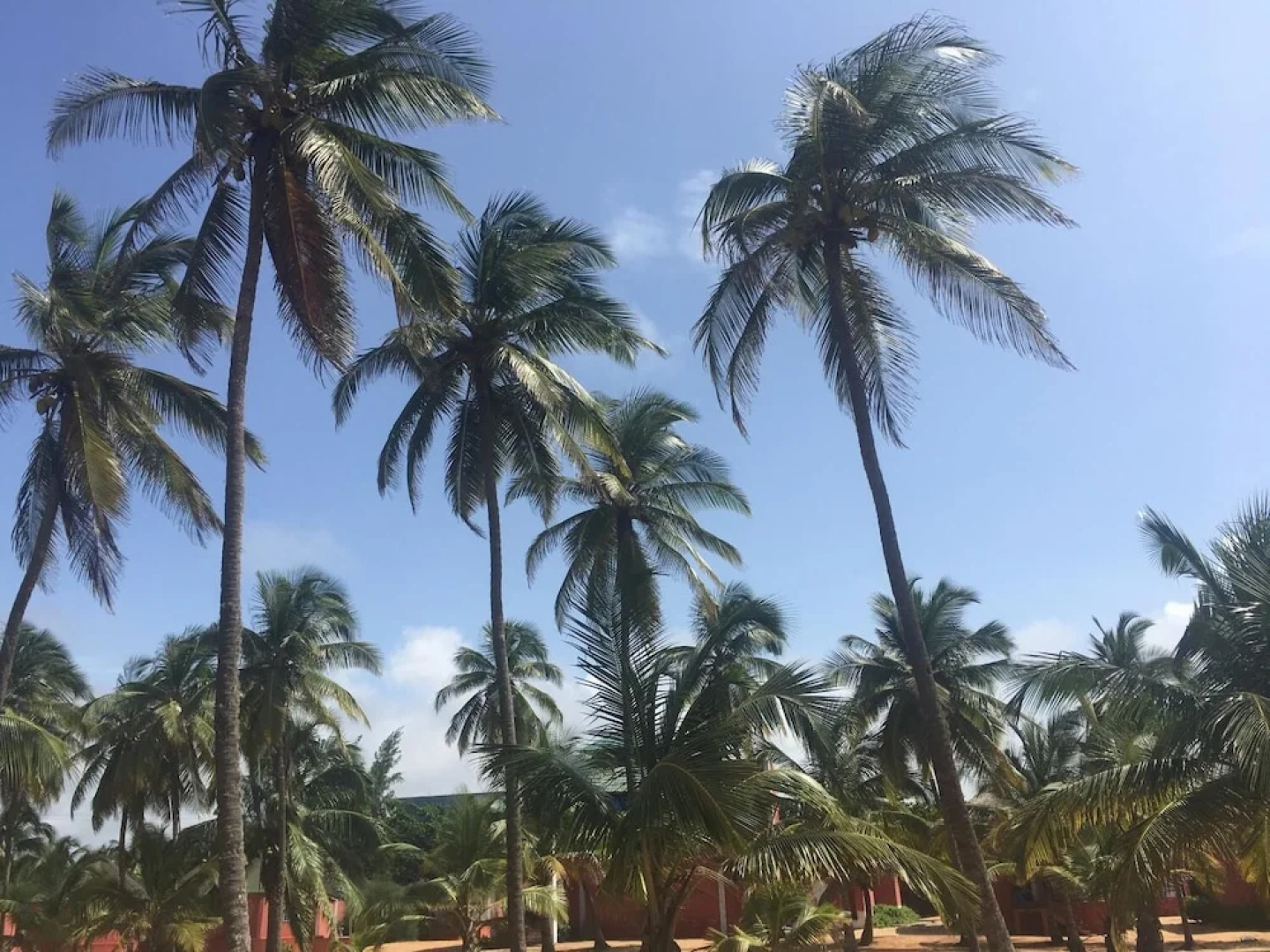 Bénin Diaspora Hôtel