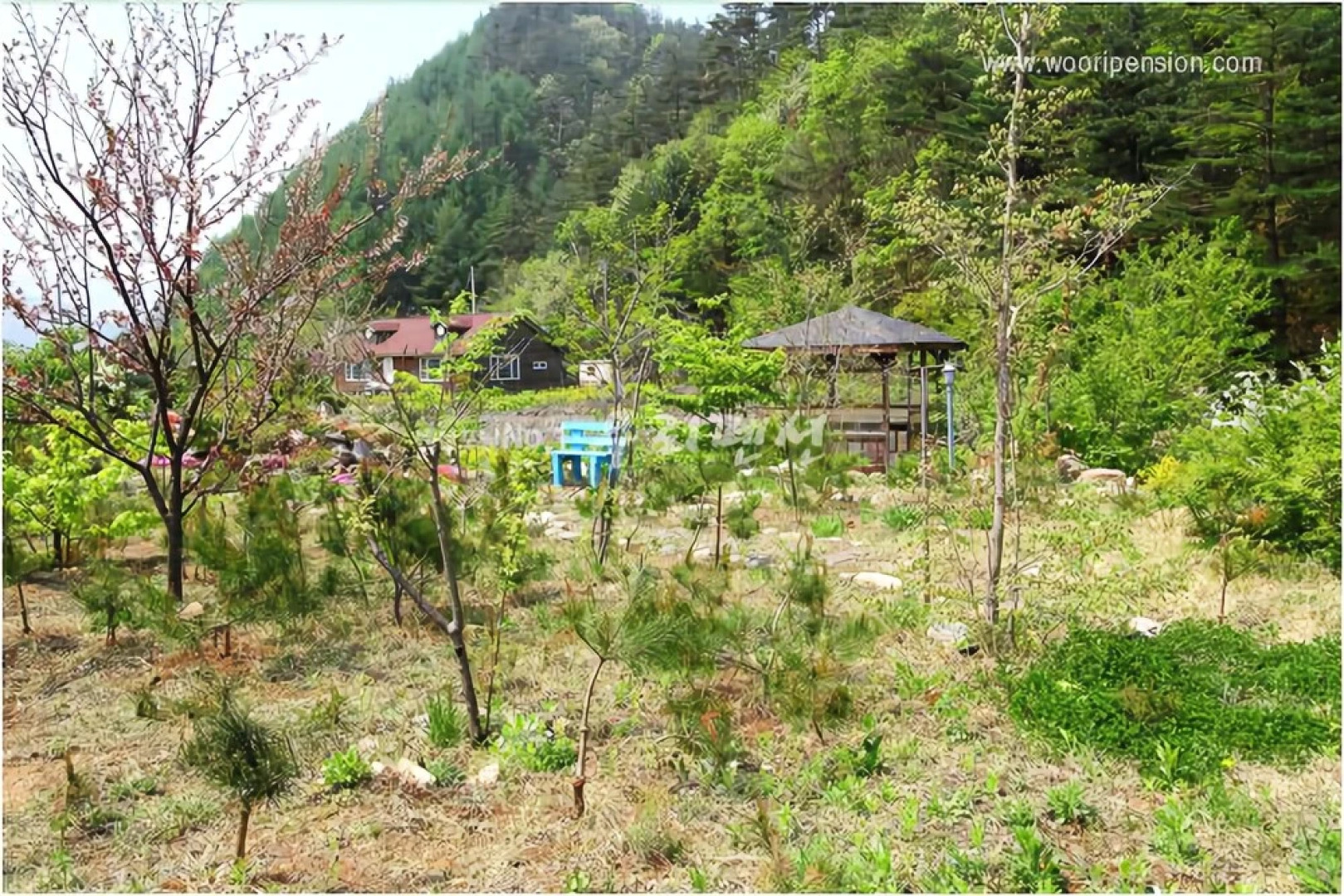 Jeongseon Click Pension