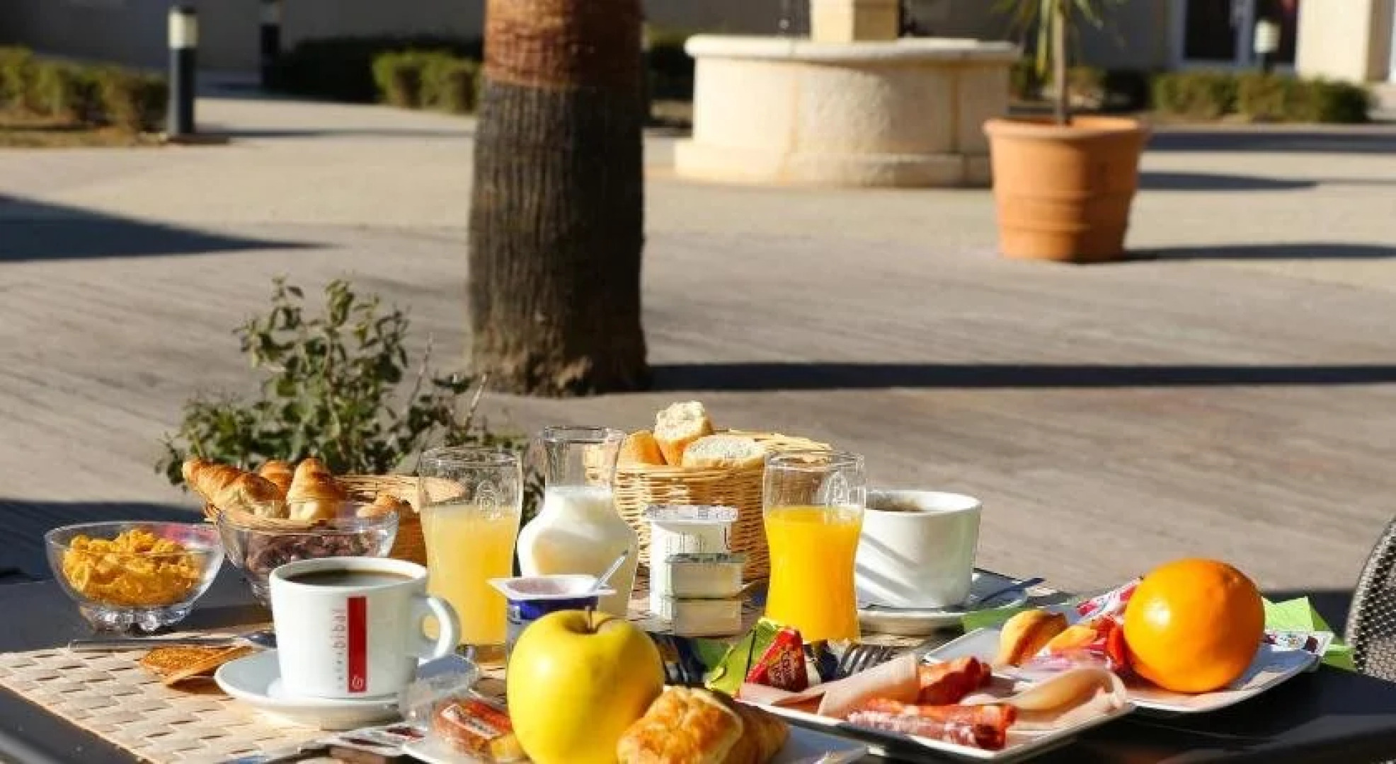 Les Jasses De Camargue