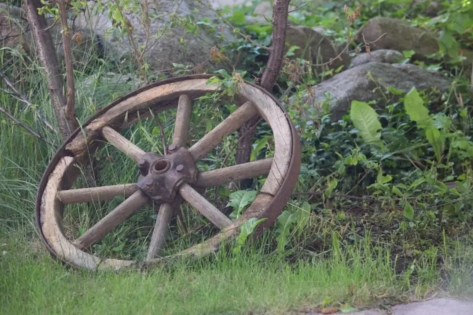 Spreezeit Hotel connect