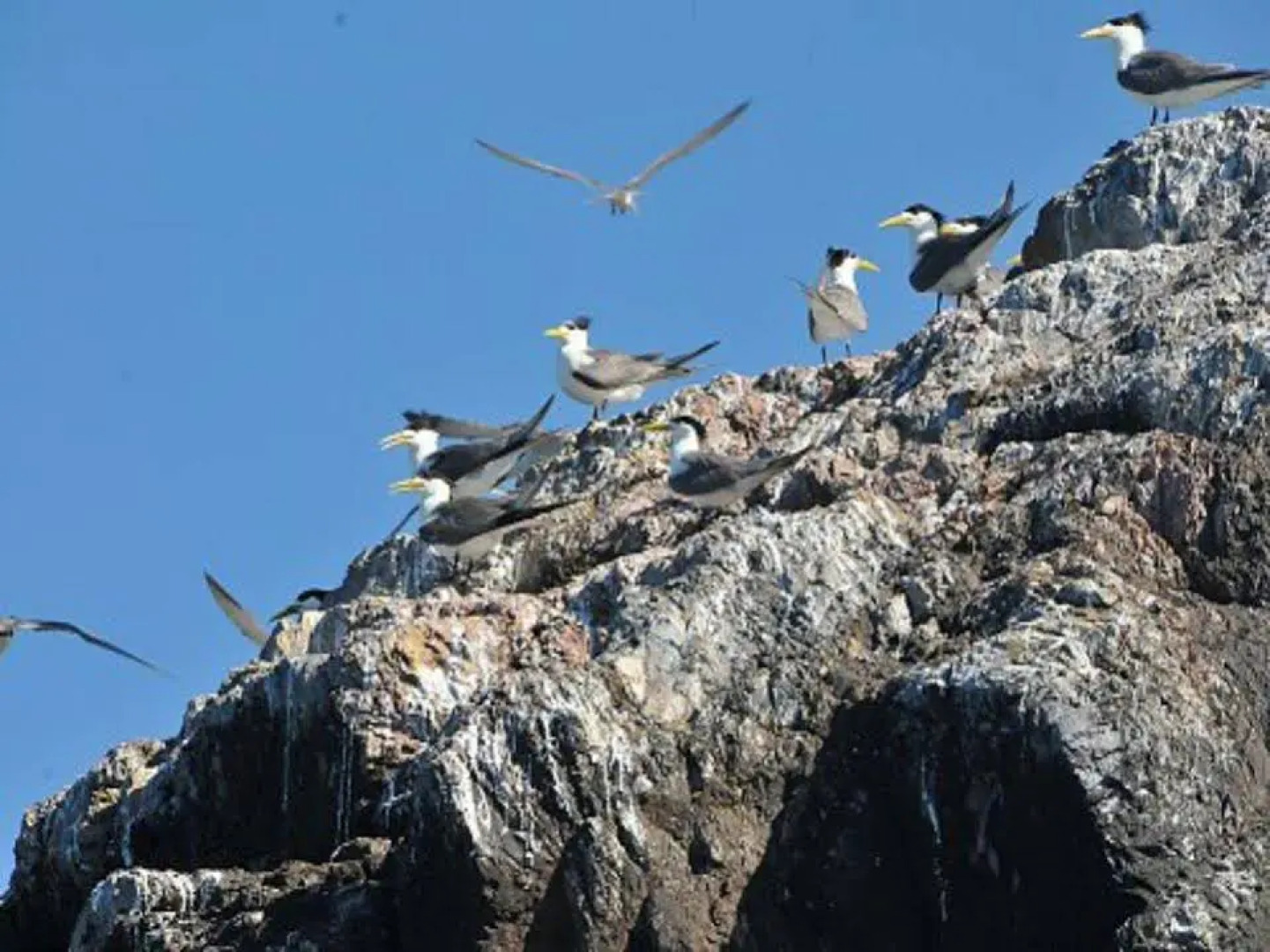 North Coast Hotel Fu-Shin