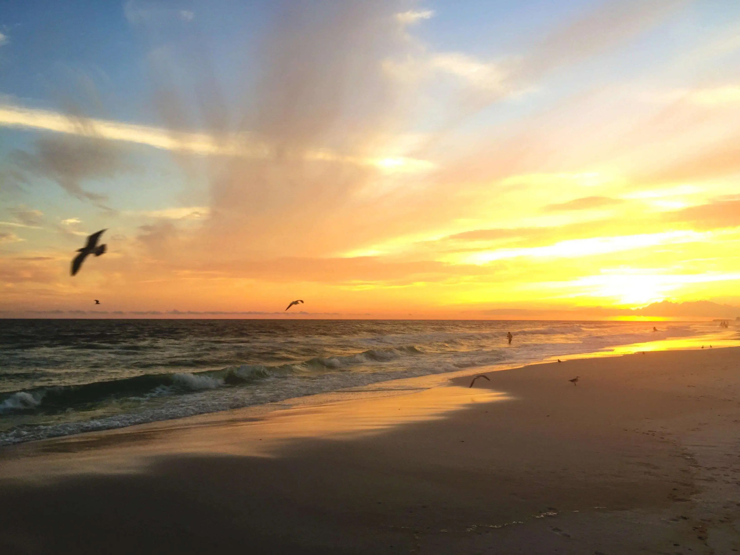 The Henderson Beach Resort & Spa