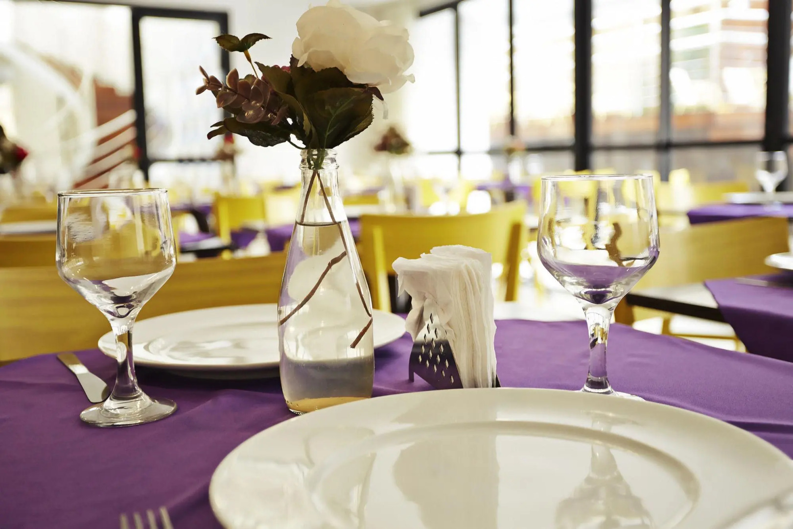 Transamerica Executive Natal