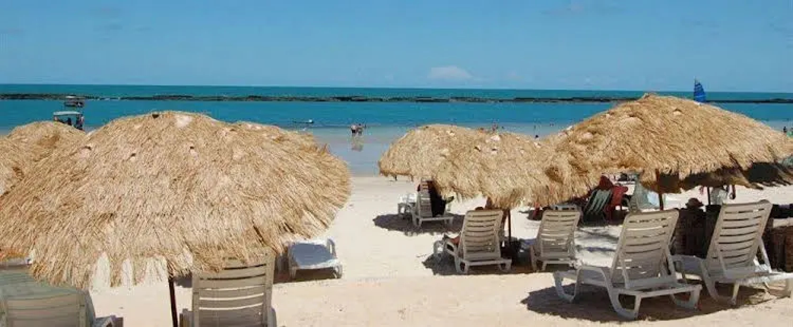 Taba Brasil