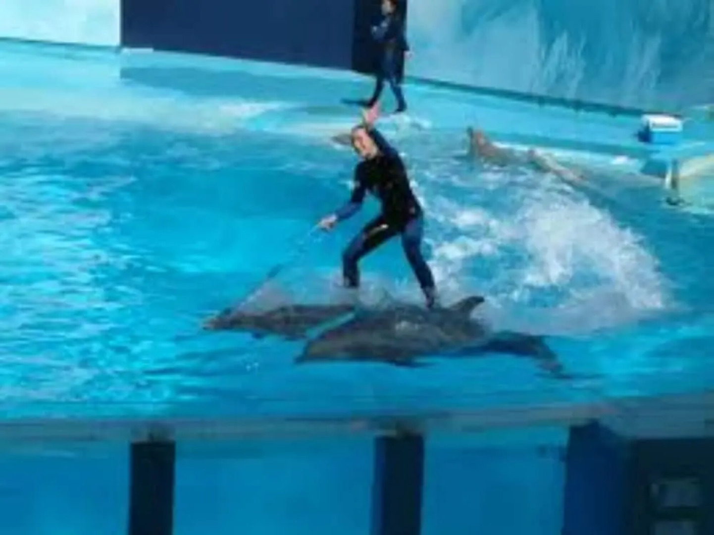 Quinta dos Cochichos – Country Houses