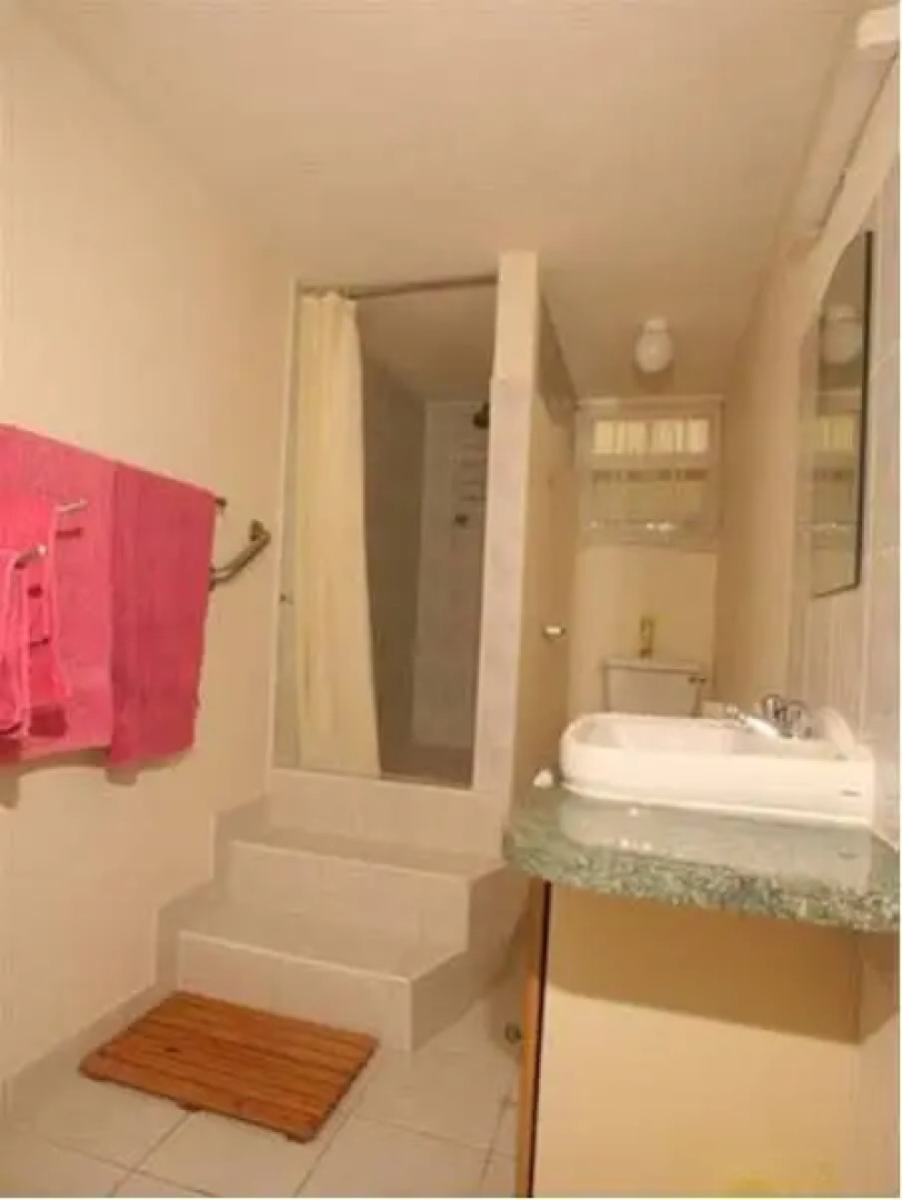 Palm Paradise Guest House and Apartments