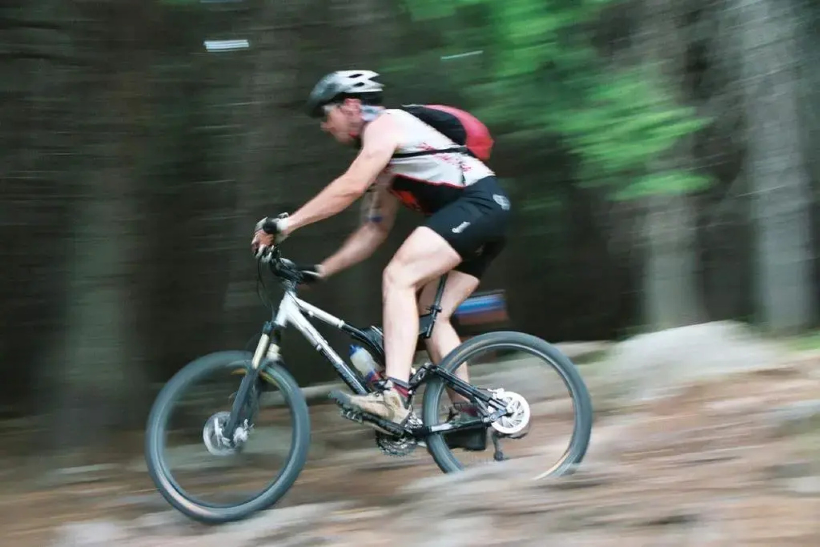 Landhaus Zu den Rothen Forellen