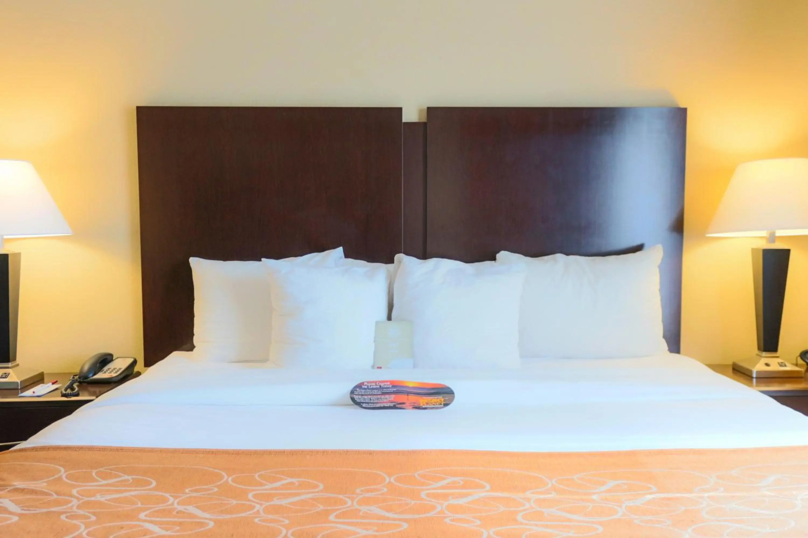 Comfort Suites Charleston West Ashley