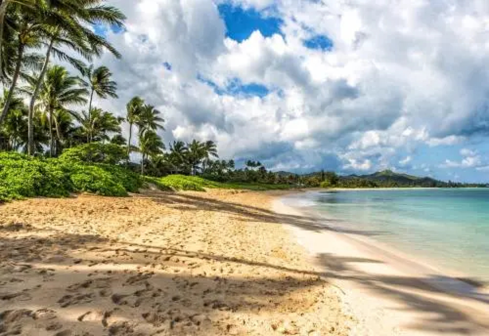 Brand New Kailua Beach