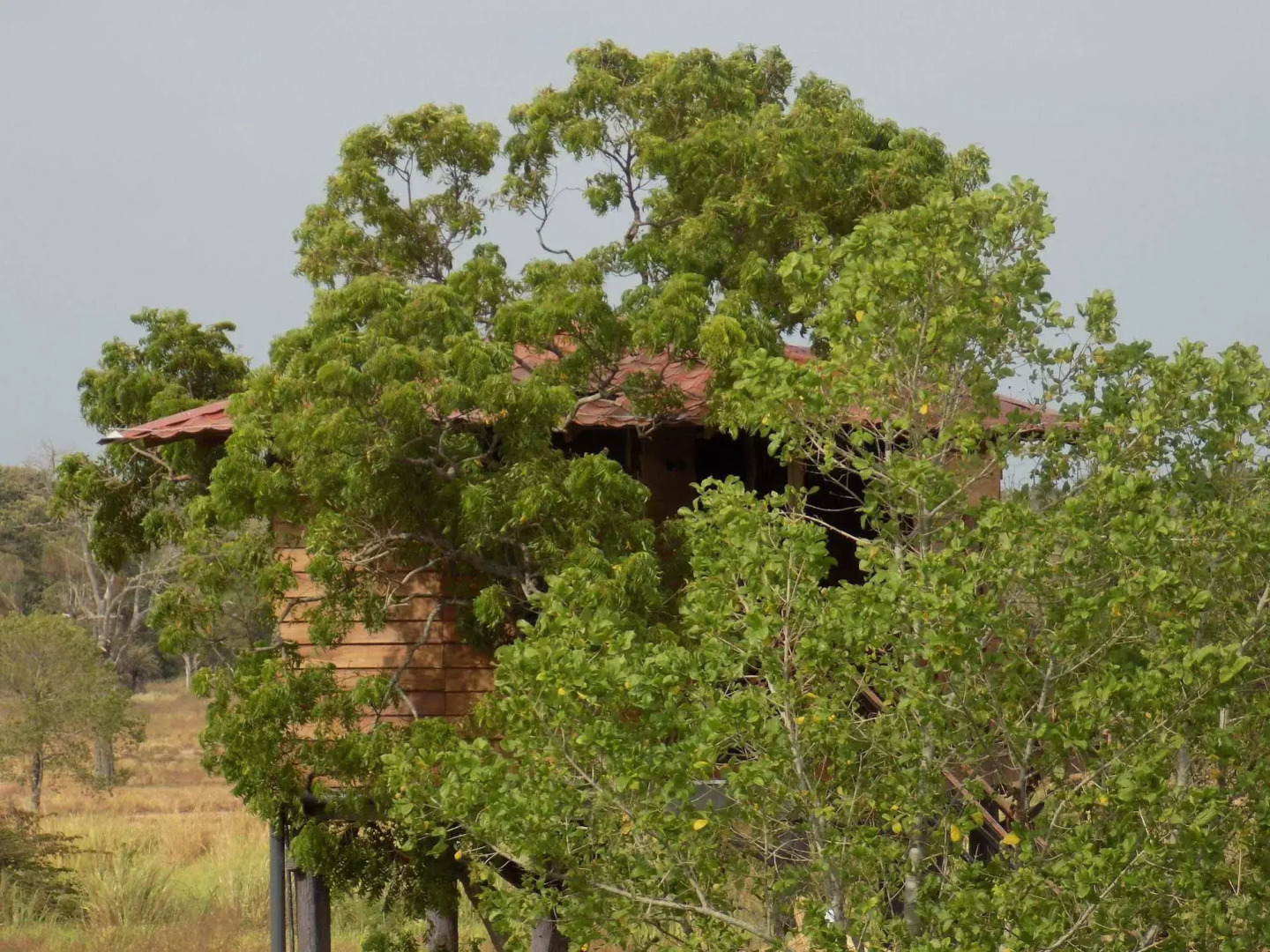 The Hideout Sigiriya