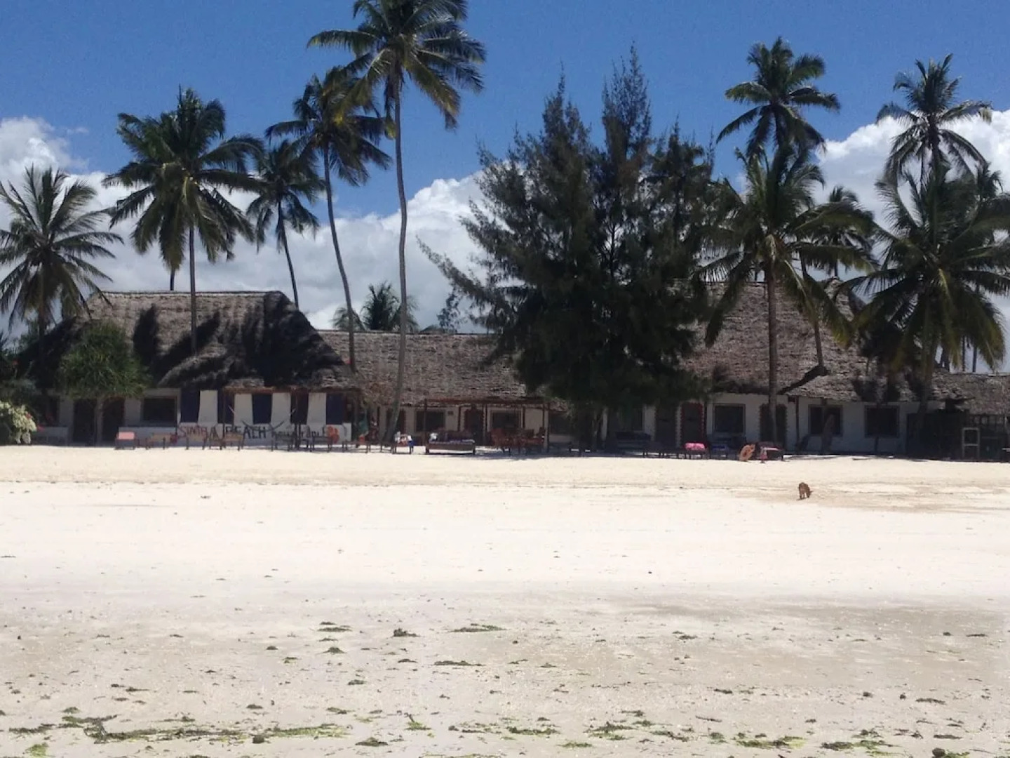 Simba Beach Zanzibar
