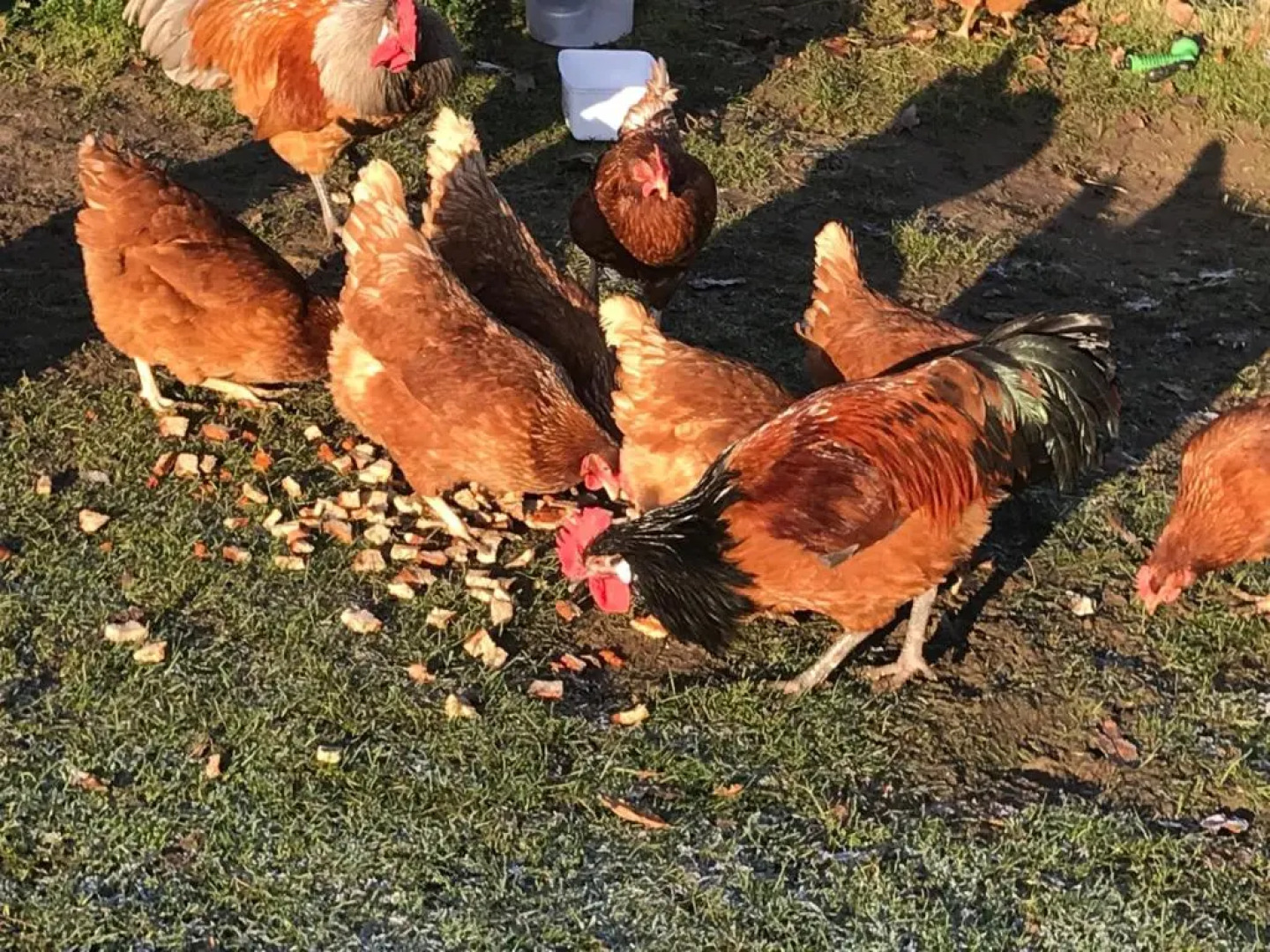 Chart House Bed And Breakfast