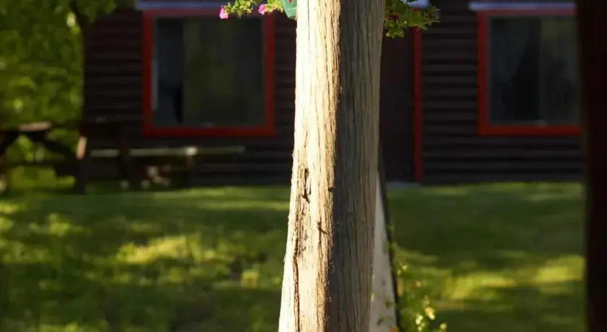 New England Outdoor Center