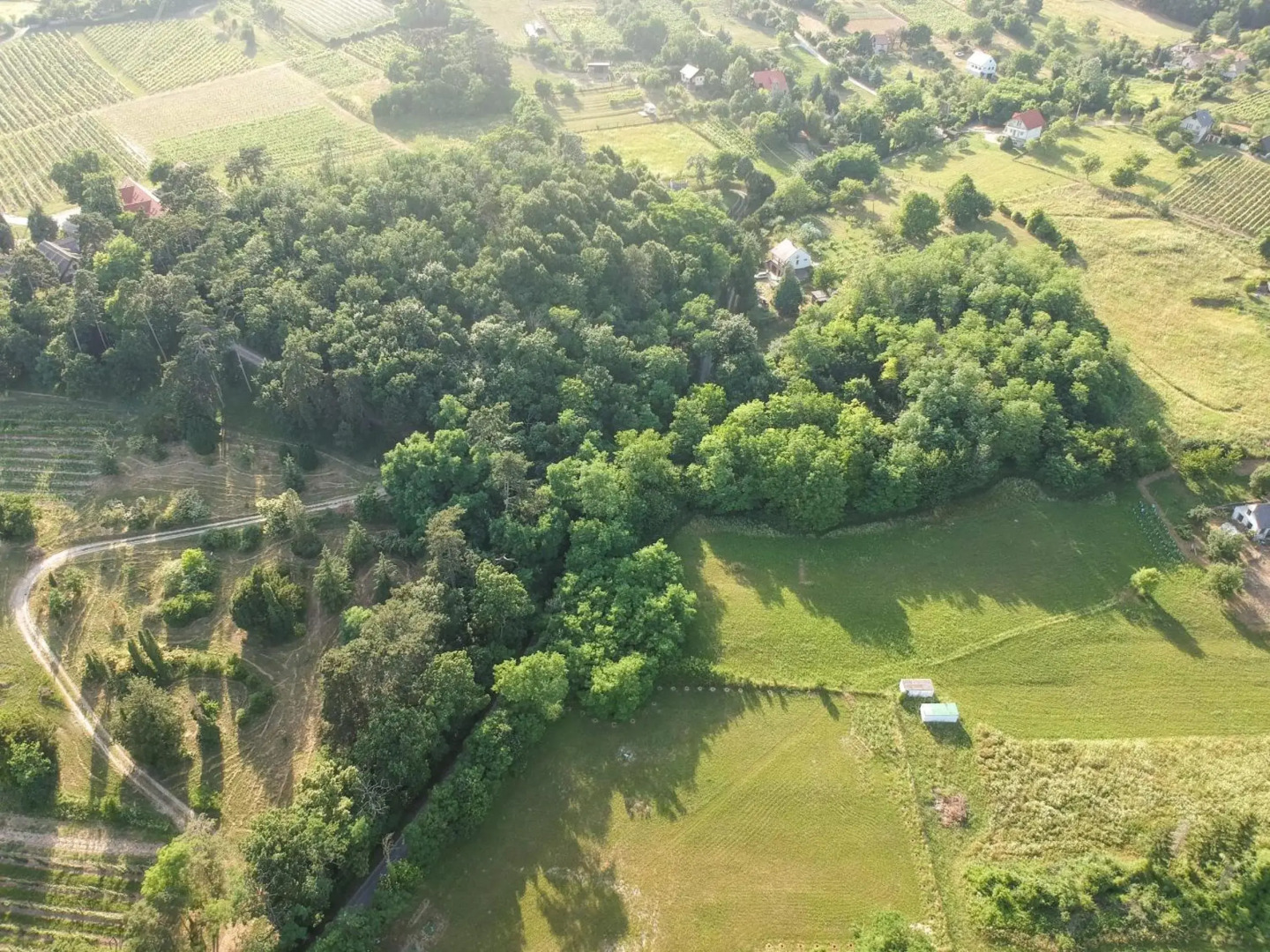 Pilikán Apartments - Park - Vineyard & Sheep farm
