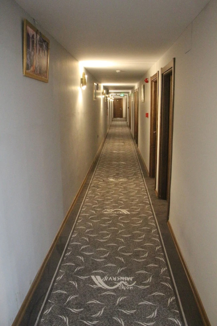 Hotel Minerva Pazar