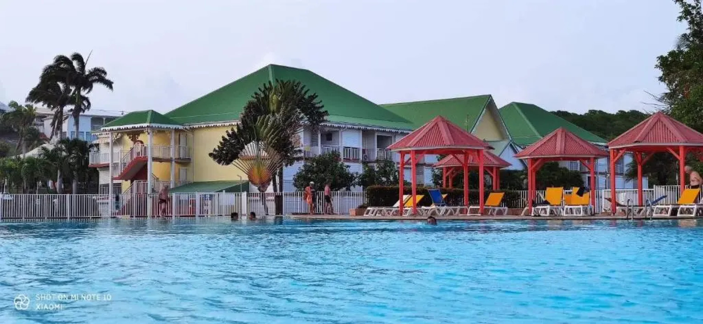 Nid tropical pour deux