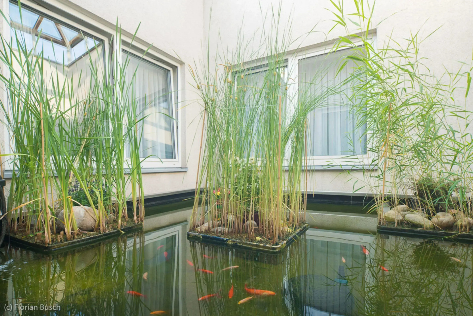 Best Western Hotel Im Forum Muelheim