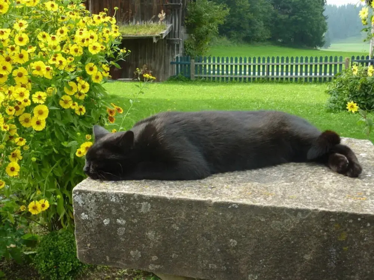 Apartment in Thuringia