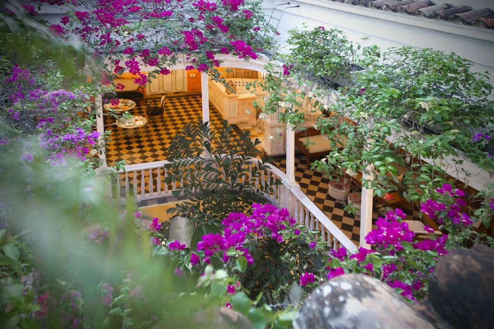 La Passion by Masaya Collection