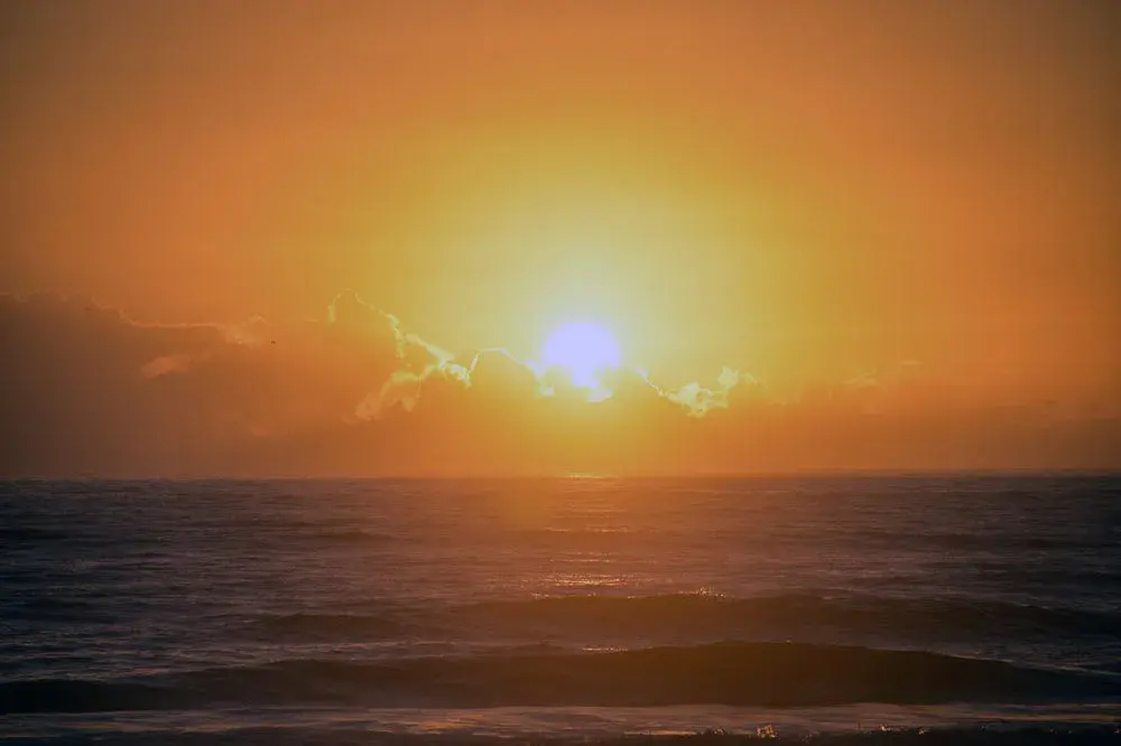 Surf Studio Beach Resort