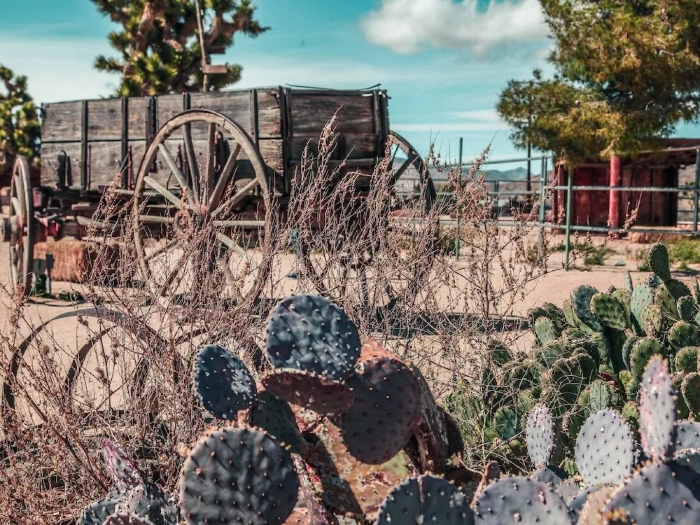 Classic 1960s Cottage on 10 Acres With Jacuzzi!