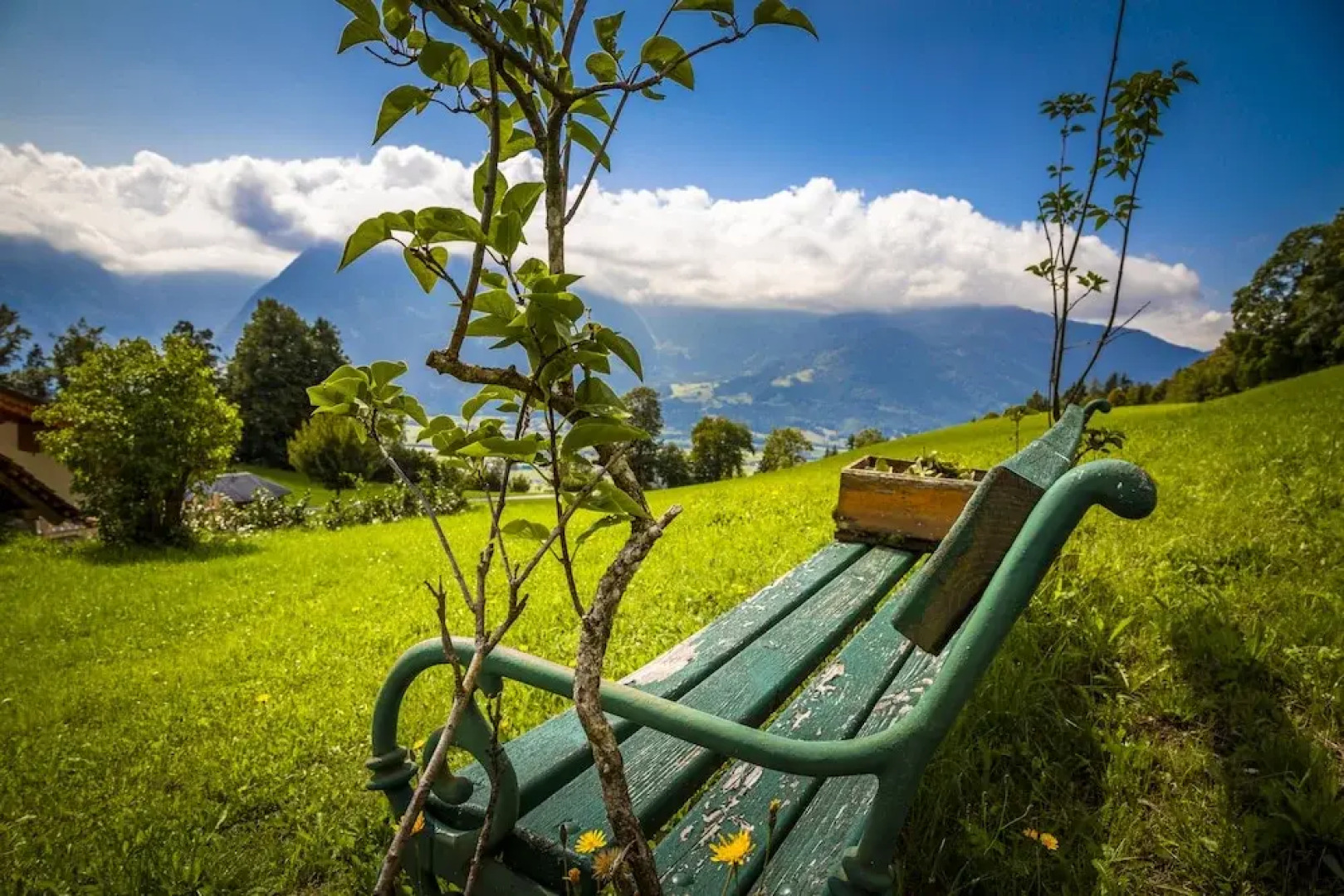 Bio-Familienbauernhof Grubsteighof