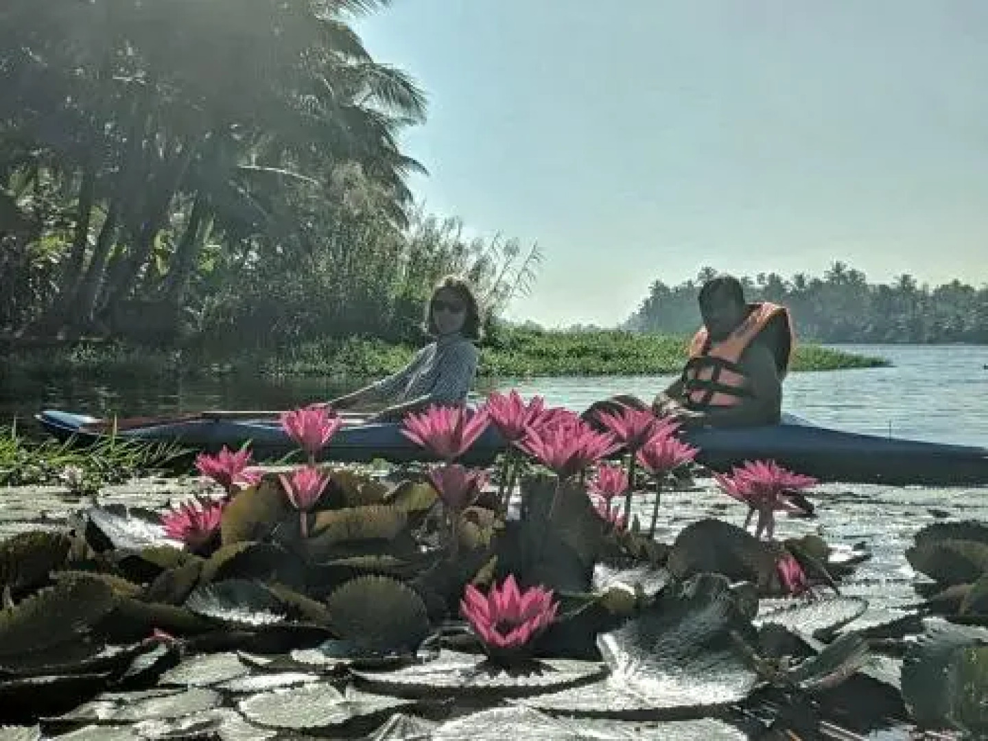 Sunsets and Palm Trees