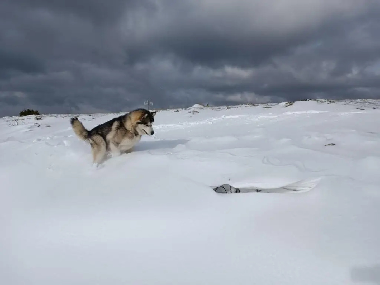 Hôtel Restaurant L'orée du Vercors