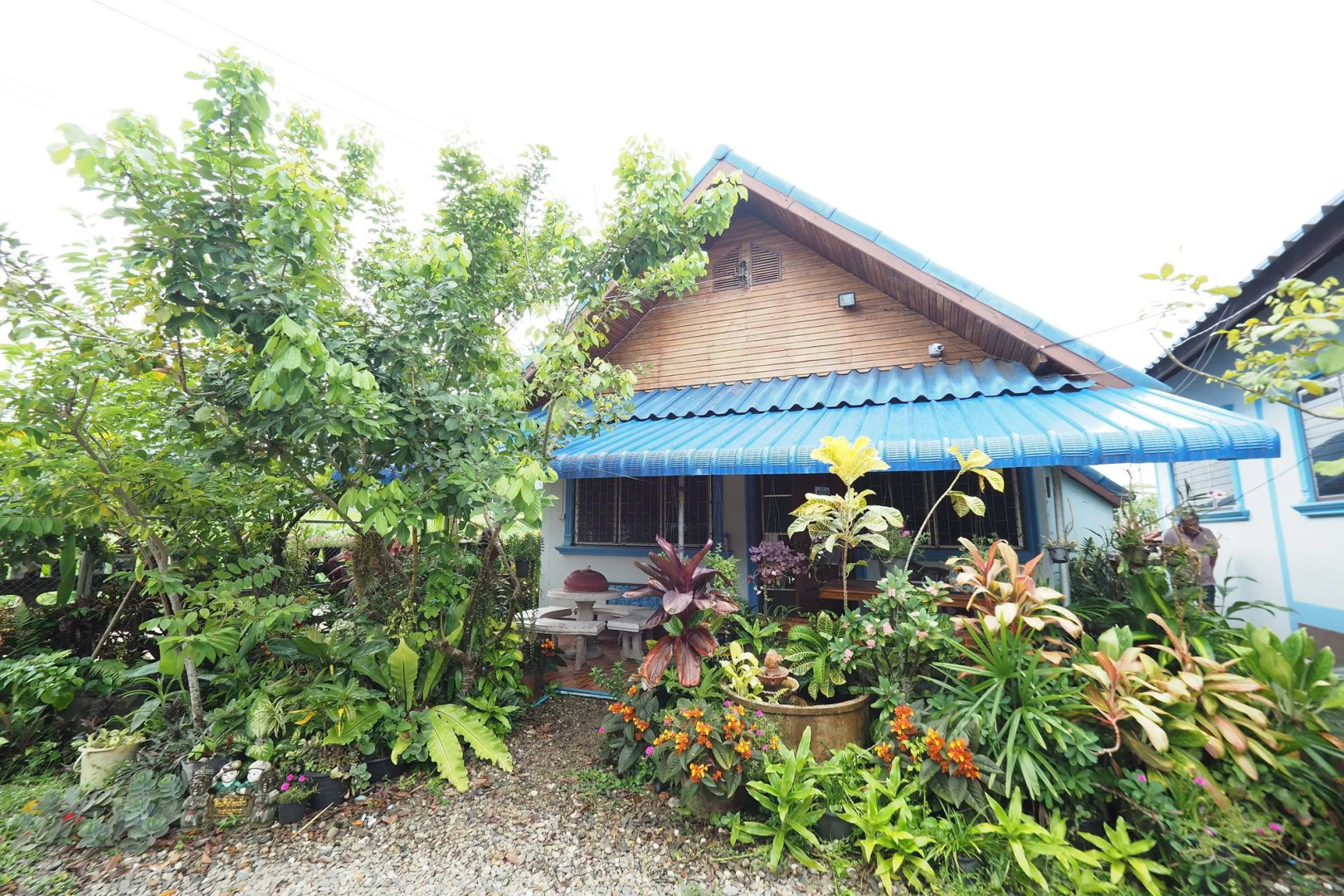 Ban Pak Glang Toong Pua Nan