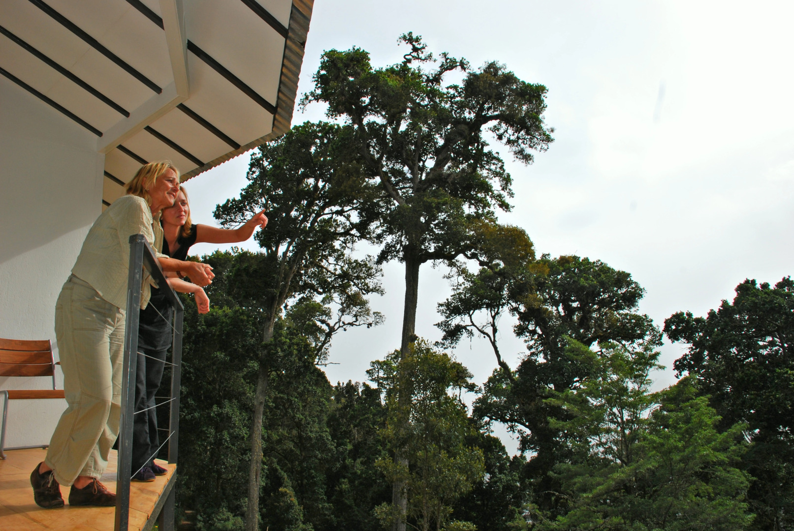 Dantica Cloud Forest Lodge