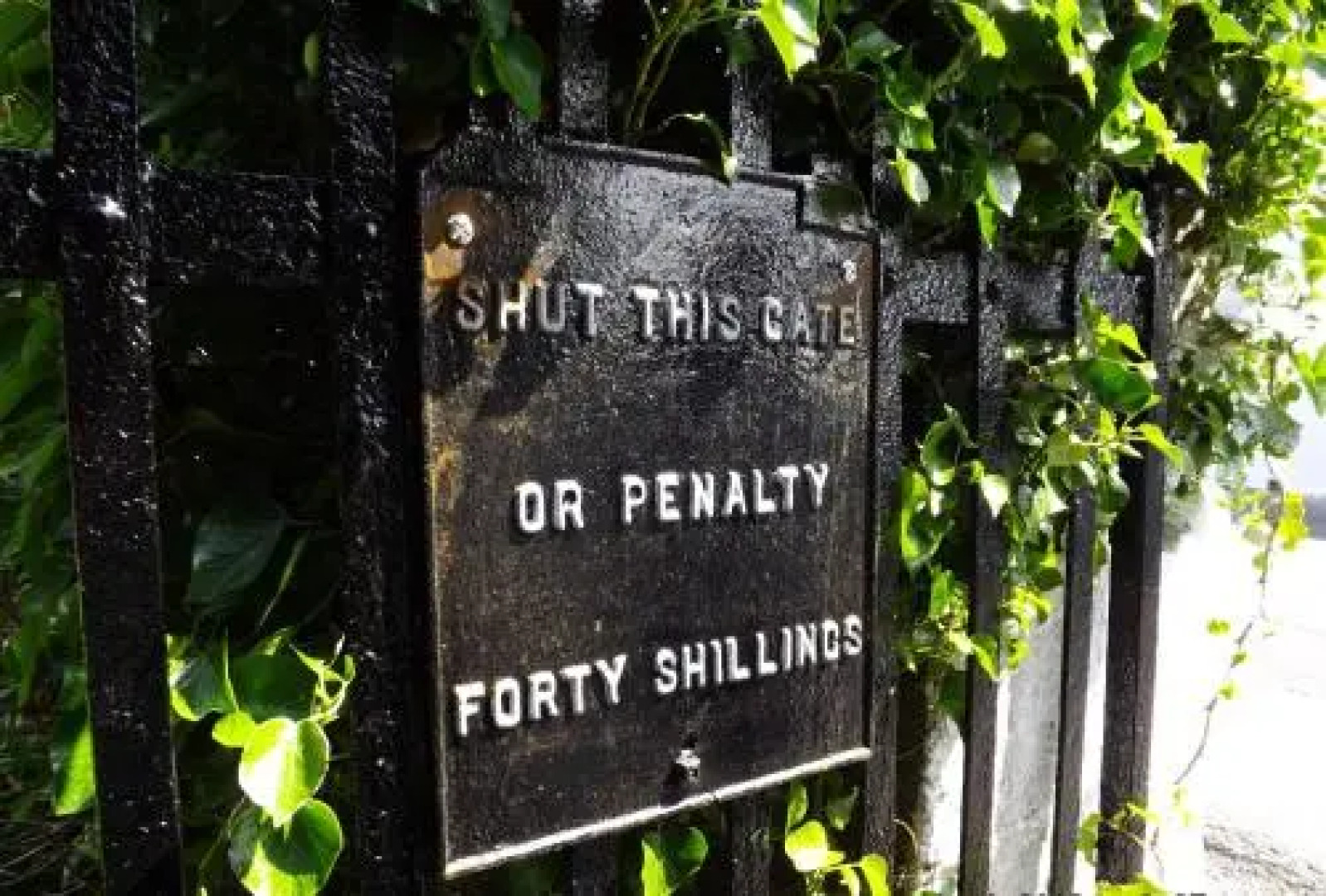 The Village Way Apartments