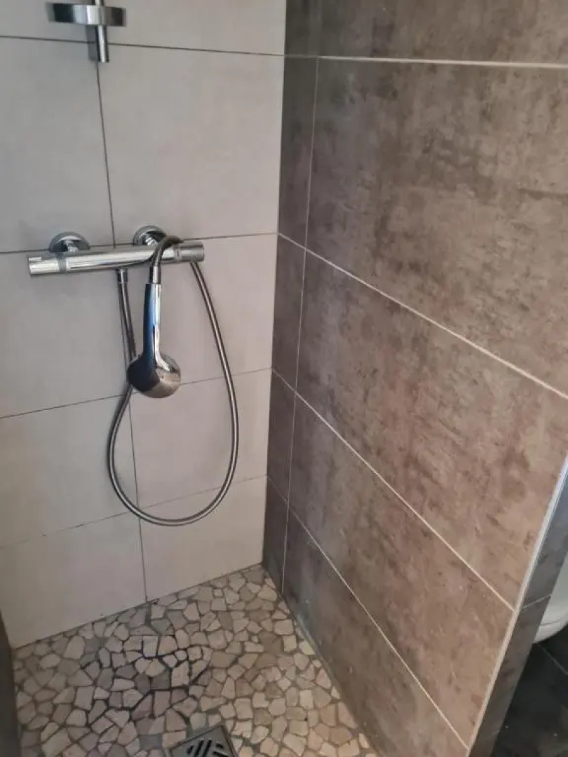 L'olivier et la lavande