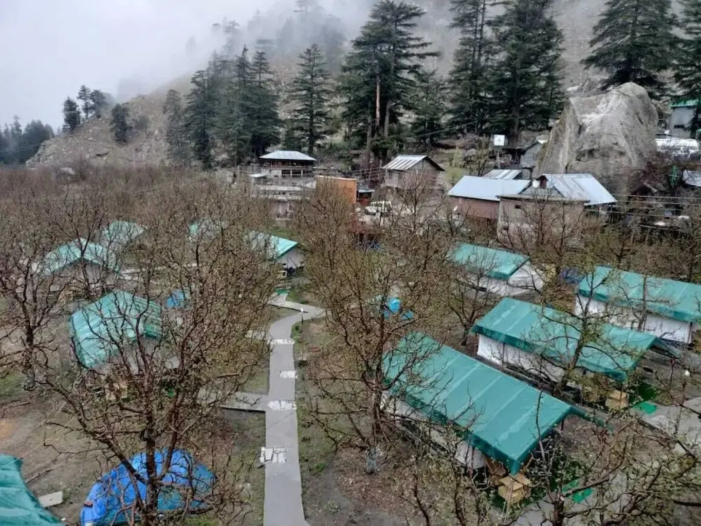 Apple Orchard Farm and Camping