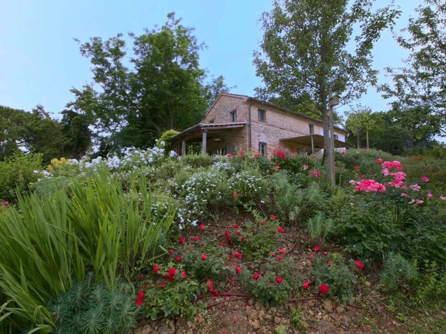 Spacious Mansion in Corinaldo with Barbecue