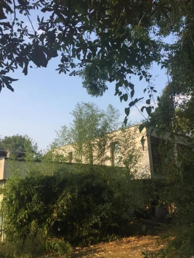 Suite ! Moin Die Rattanbude