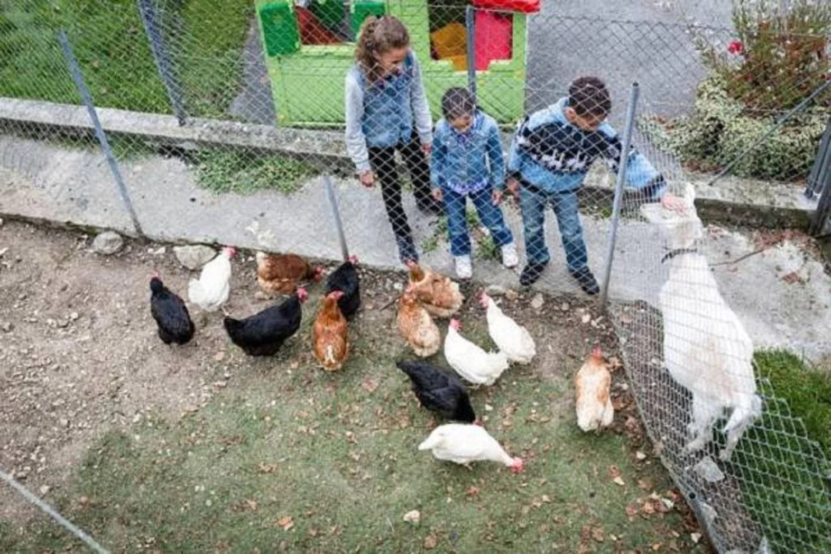 Gîte rural de Courcelon