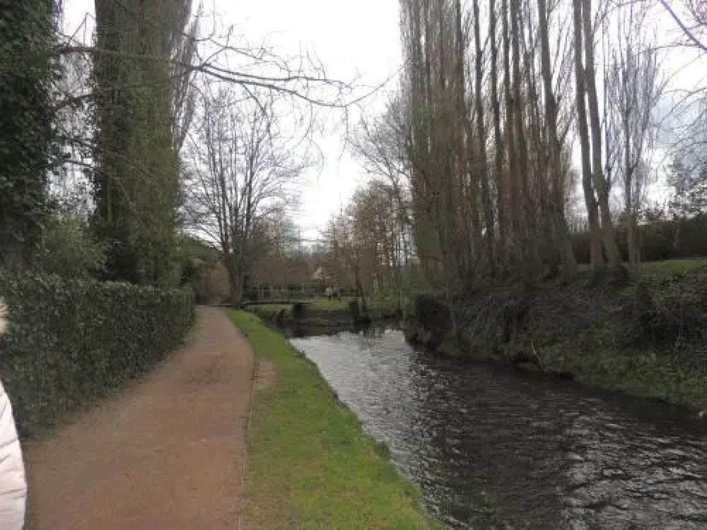 Aux Fleurs D'anemone