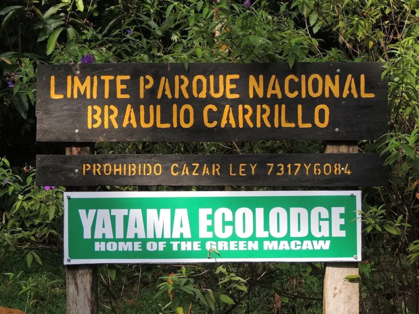 Yatama Ecolodge Sarapiqui