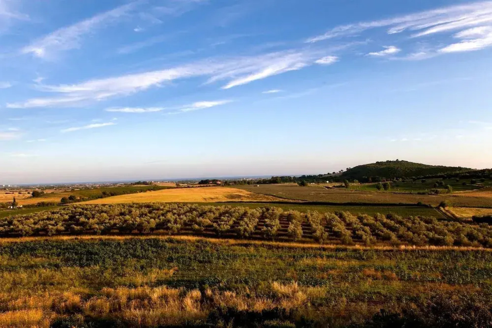 VILLA in TUSCAN MAREMMA. SEA&COUNTRYSIDE CAPALBIO Holiday home 8 BestStayz.1