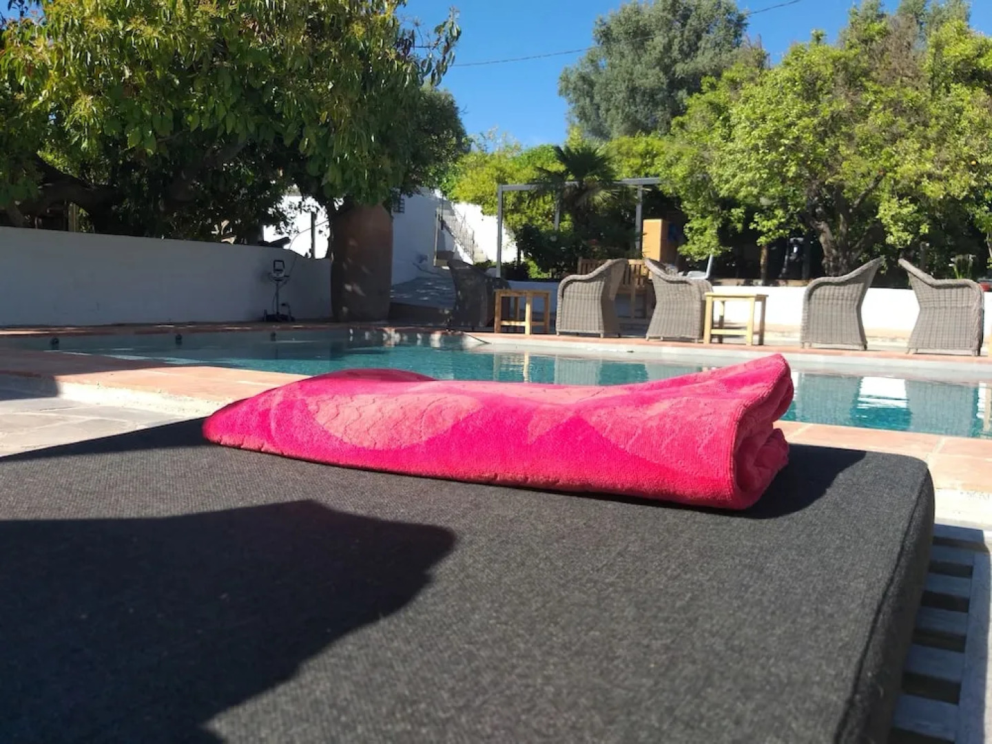 El Violin Experiencia