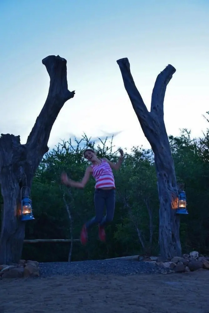 Wild Olive Tree Camp