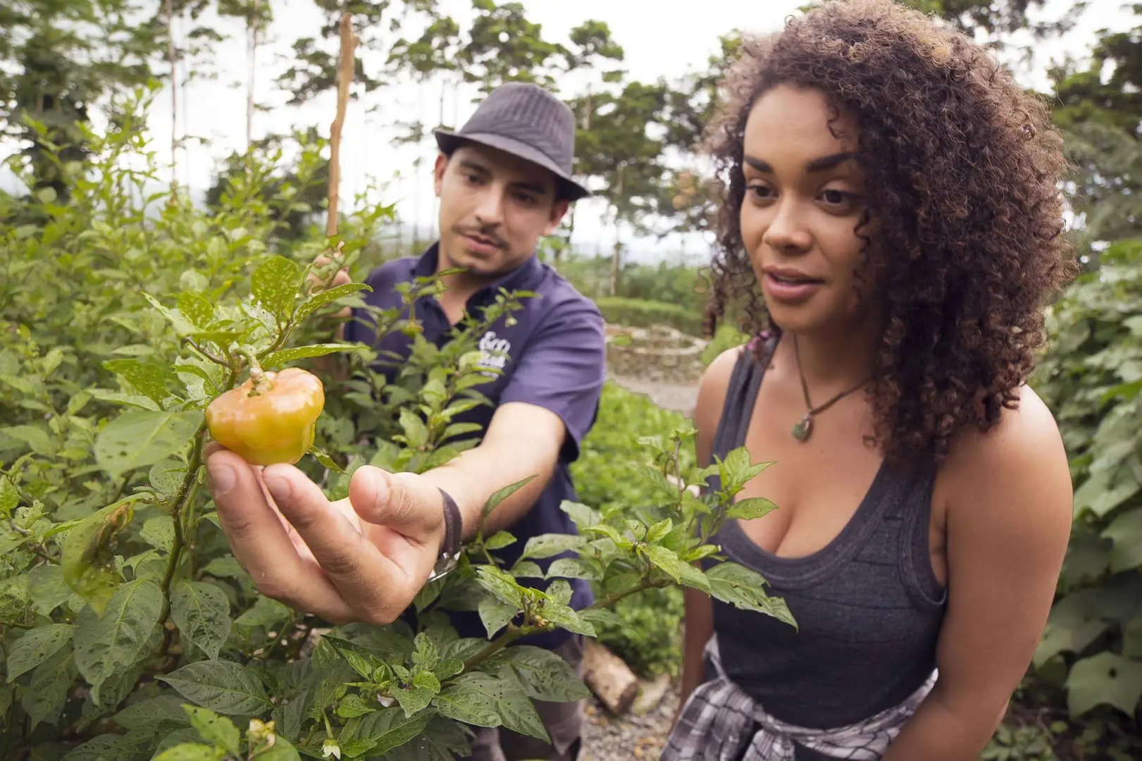 La Tigra Rainforest Lodge