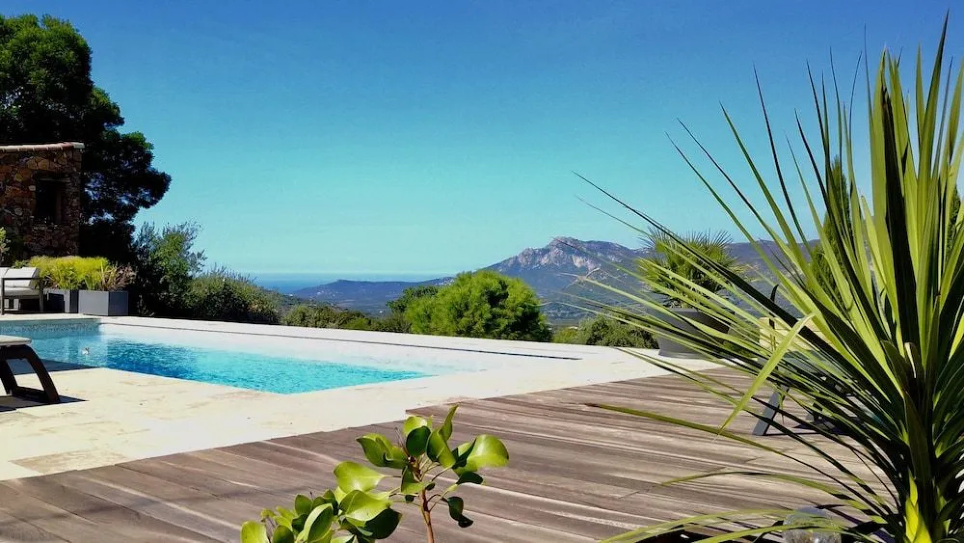 Au pied des oliviers