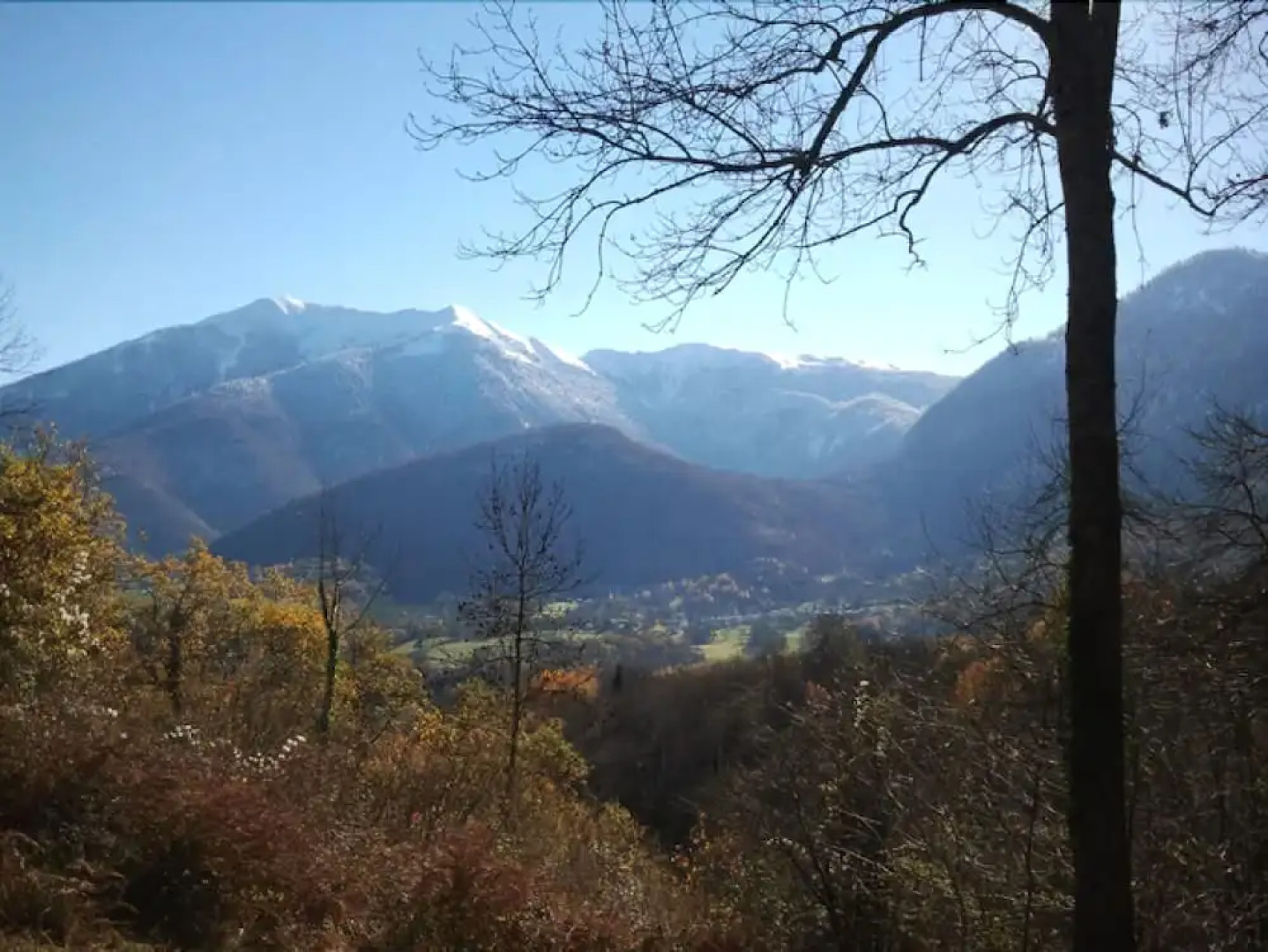 Les Insolites d'Eljie