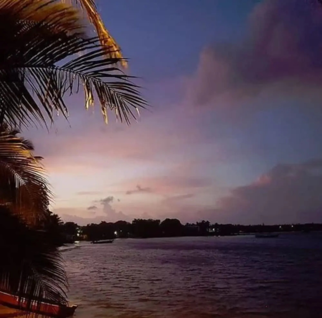 Las Palmeras Beachfront Hotel