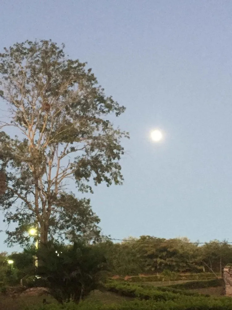 Winterville Residence Suites